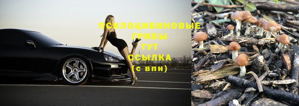 ALPHA-PVP Аркадак