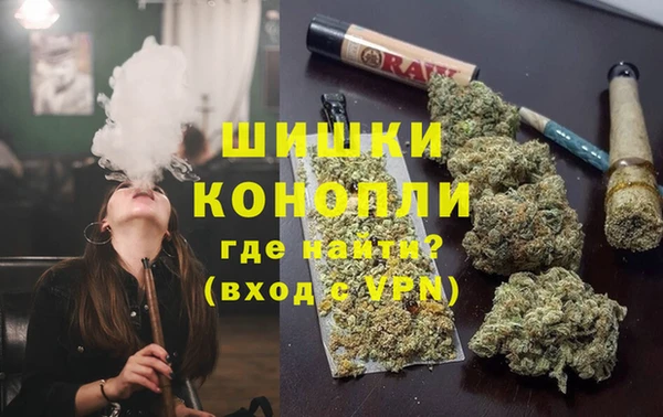 ГАЛЛЮЦИНОГЕННЫЕ ГРИБЫ Балабаново