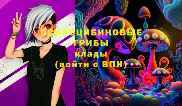 spice Армянск